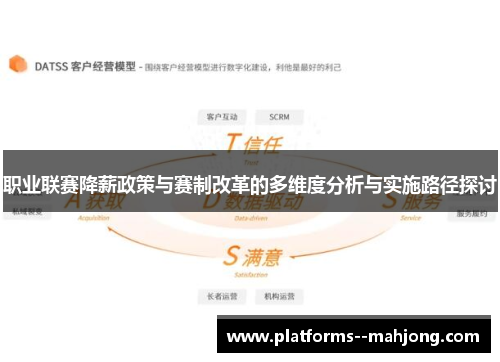 职业联赛降薪政策与赛制改革的多维度分析与实施路径探讨