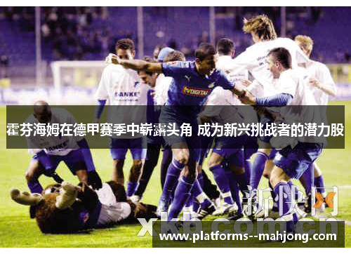 霍芬海姆在德甲赛季中崭露头角 成为新兴挑战者的潜力股