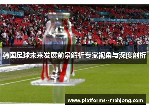 韩国足球未来发展前景解析专家视角与深度剖析